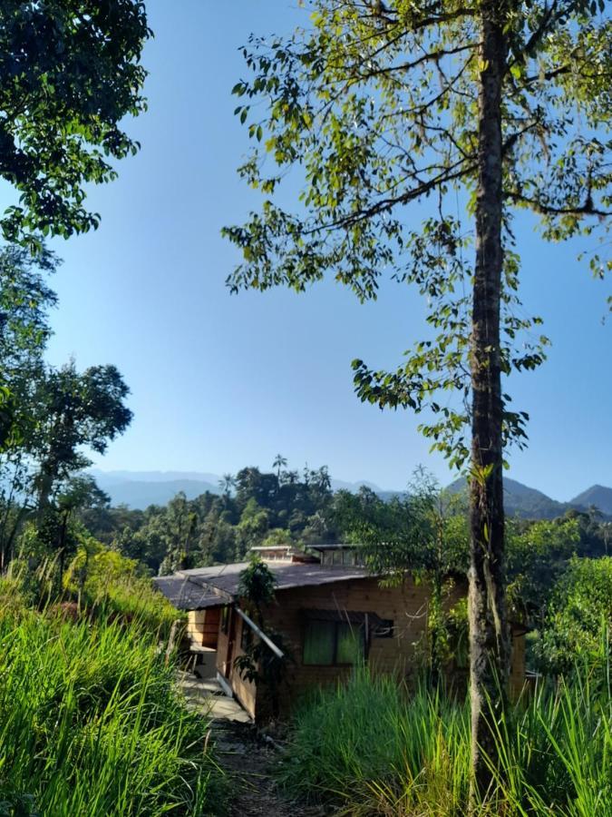 Sendero De Las Aves ミンド エクステリア 写真