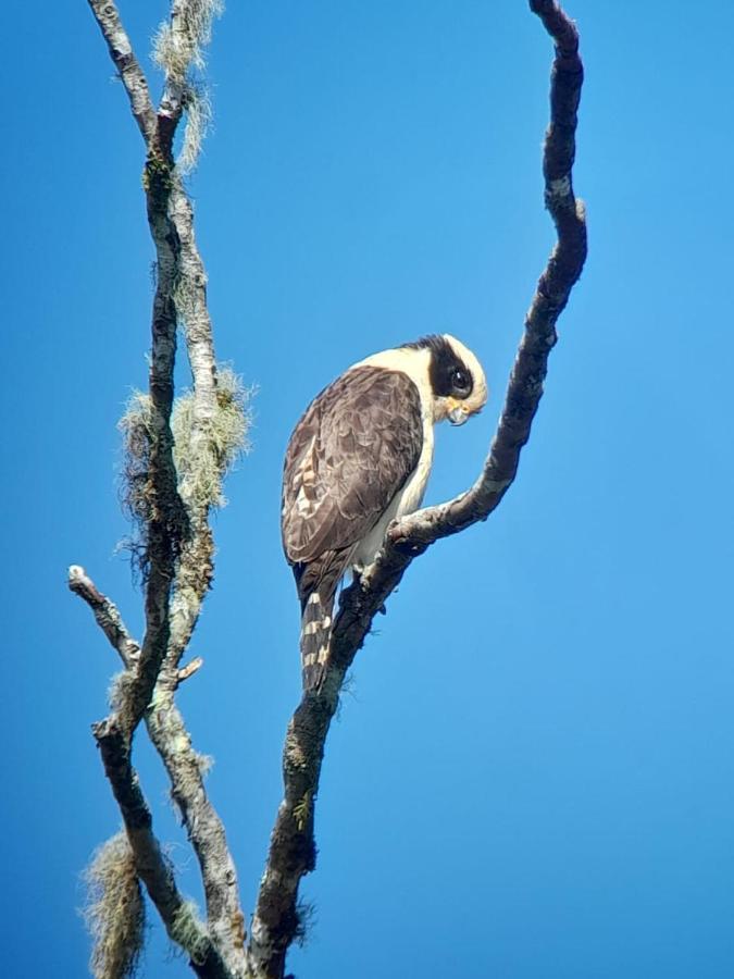 Sendero De Las Aves ミンド エクステリア 写真