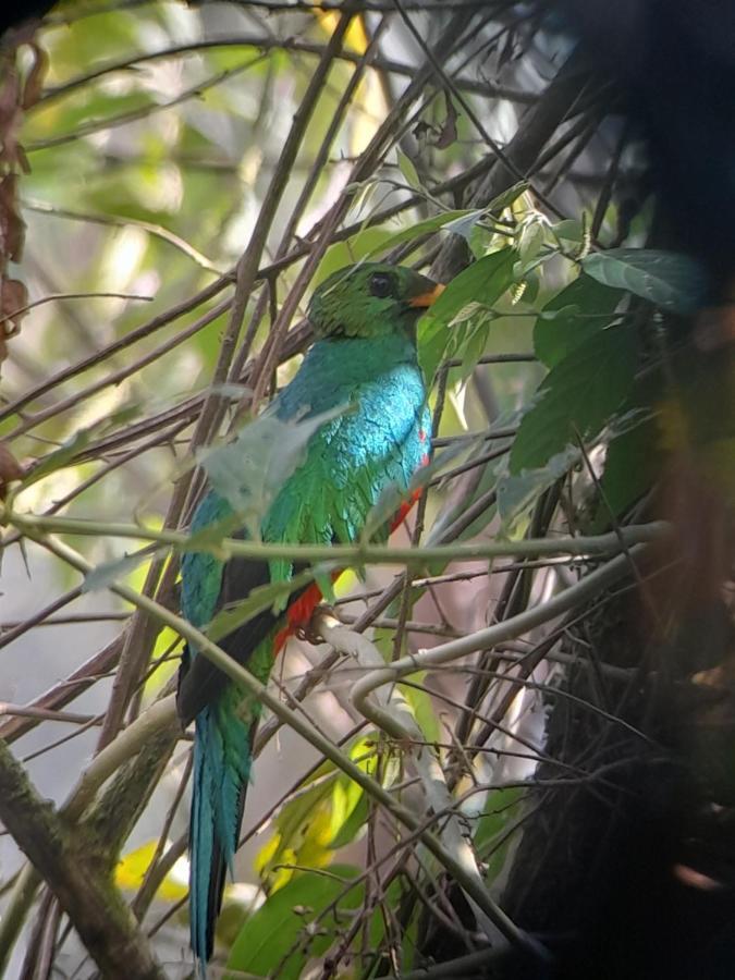 Sendero De Las Aves ミンド エクステリア 写真