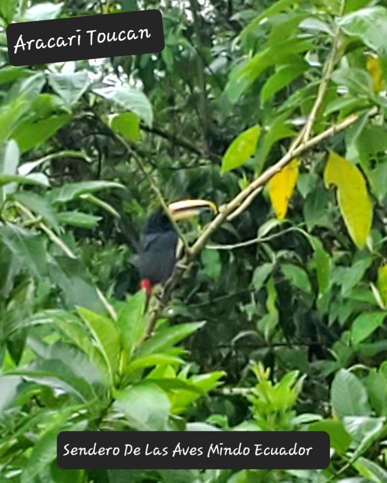Sendero De Las Aves ミンド エクステリア 写真