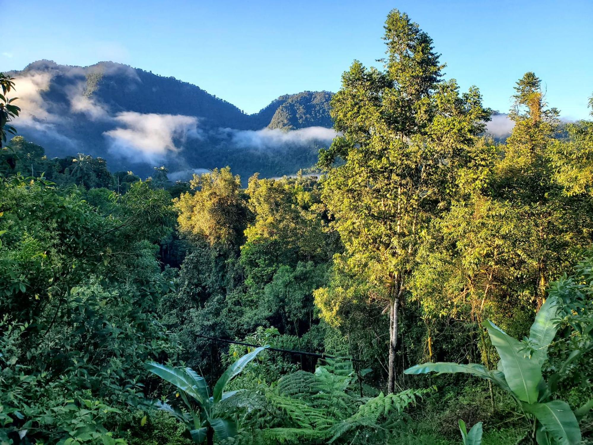 Sendero De Las Aves ミンド エクステリア 写真