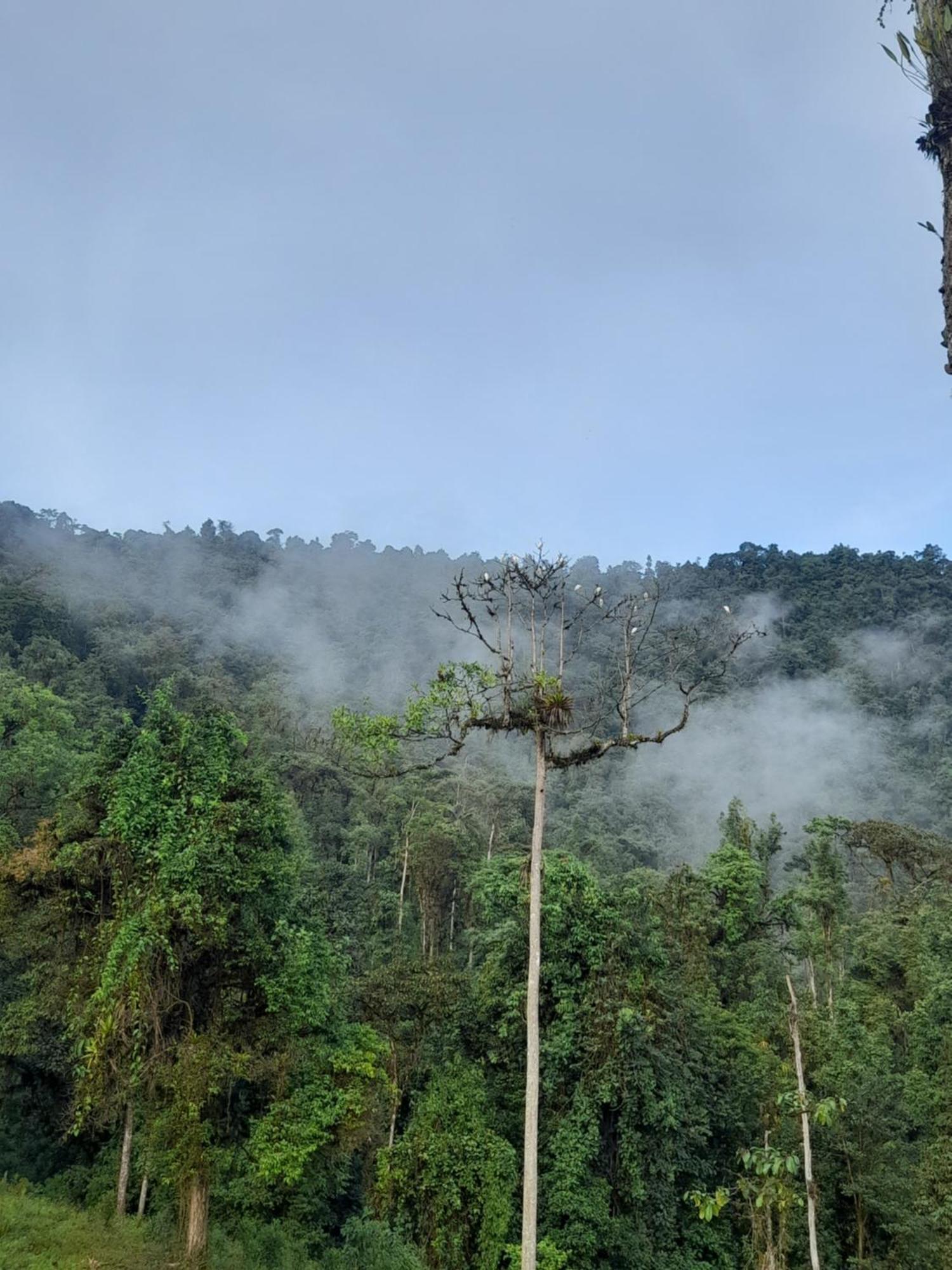 Sendero De Las Aves ミンド エクステリア 写真