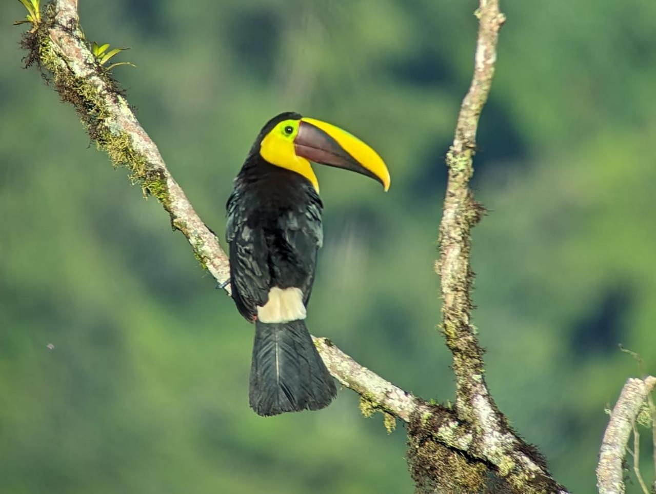 Sendero De Las Aves ミンド エクステリア 写真