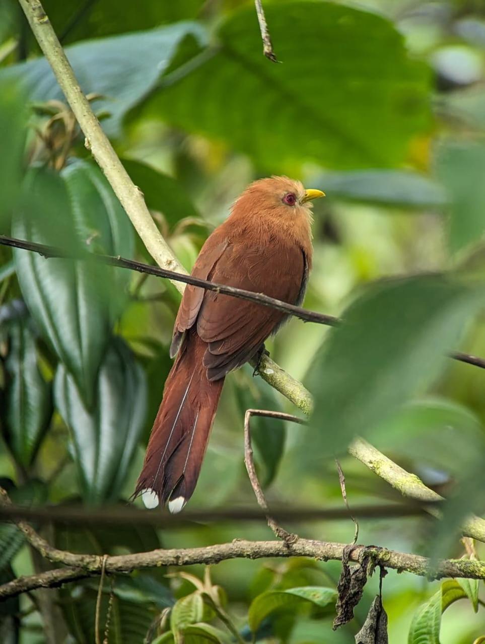 Sendero De Las Aves ミンド エクステリア 写真
