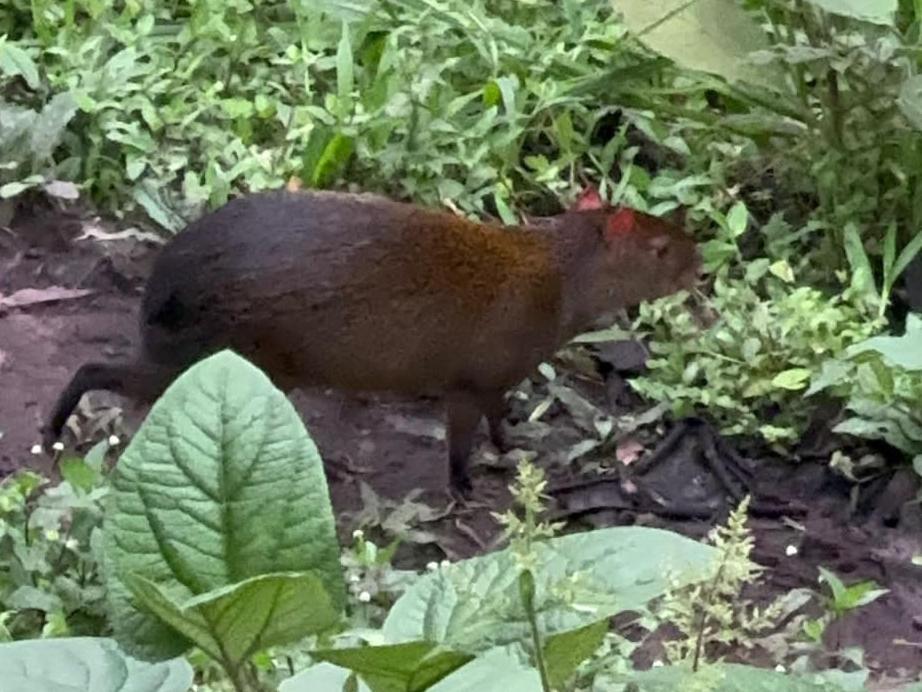 Sendero De Las Aves ミンド エクステリア 写真