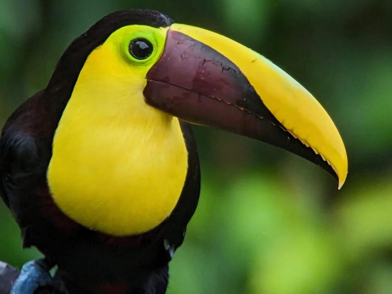 Sendero De Las Aves ミンド エクステリア 写真